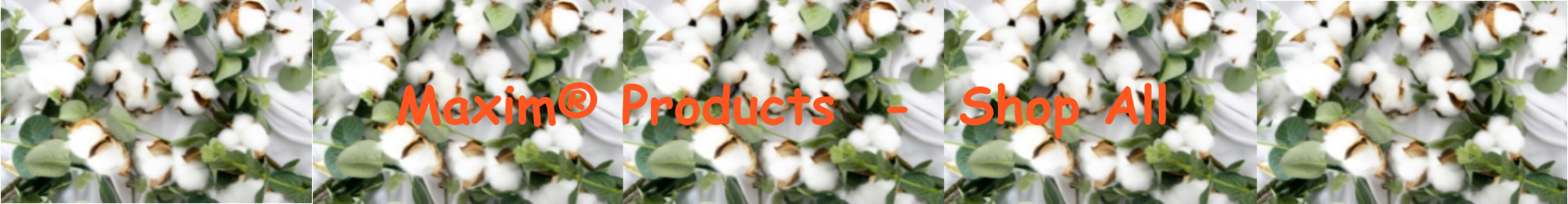 Menstrual Products